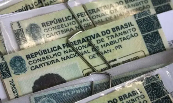 Câmara aprova cassar CNH de quem usar carro para abandonar animais na rua