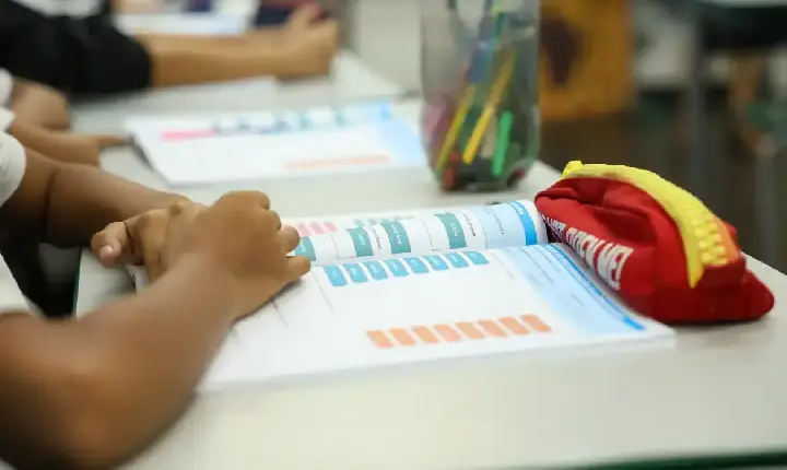 Educação política passa a integrar currículo escolar brasileiro