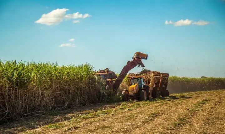 Nordeste deve liderar crescimento econômico do Brasil em 2026