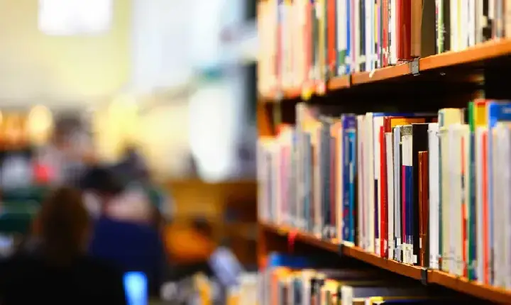 Pé-de-Meia reduz abandono escolar no ensino médio em 43% em dois anos