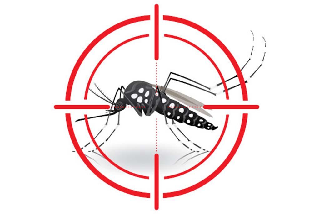 Jandira intensifica ações de prevenção nos casos de Dengue