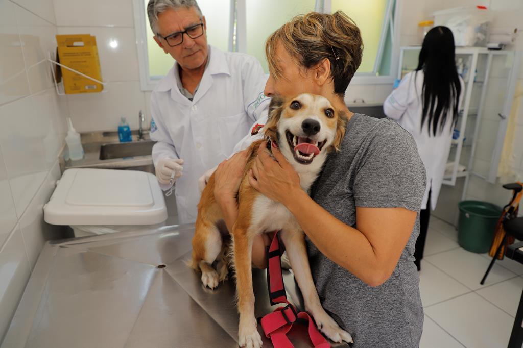 Para pets: Saúde divulga as datas de vacinação contra a raiva em abril