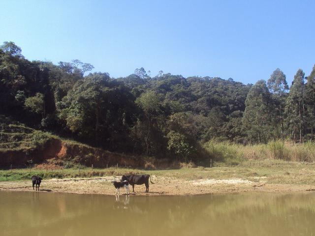 Barueri alerta que os cuidados contra a febre maculosa devem ser constantes