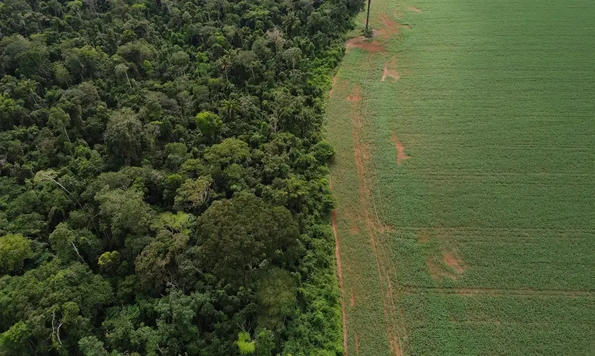 Brasil apresenta soluções de financiamento climático em Nova York
