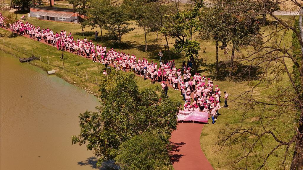 Caminhada Rosa mobiliza Barueri na luta contra o câncer de mama